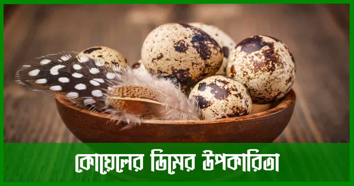 কোয়েলের ডিমের উপকারিতা